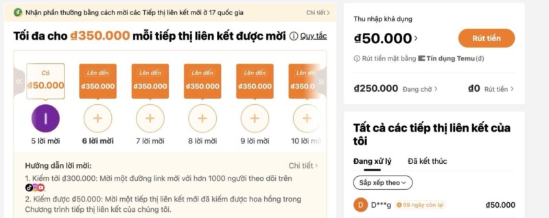Cách kiếm tiền Affiliate với Temu Cách kiếm tiền Affiliate với Temu
