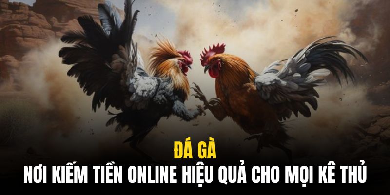 Đá Gà 8live | Nơi Kiếm Tiền Online Hiệu Quả Cho Mọi Kê Thủ